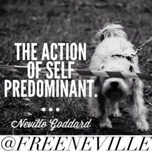 feel_it_real_method_neville_goddard