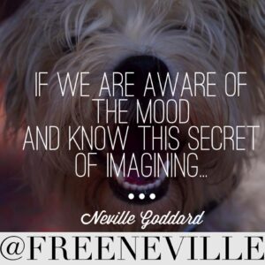neville_goddard_law_and_promise_quotes