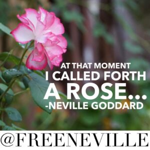 feel_it_real_quote_neville_goddard_rose_story