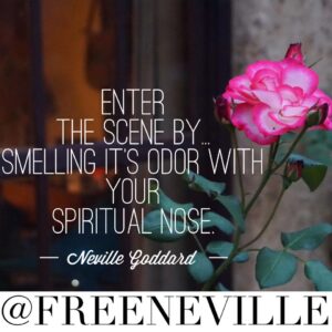 how_to_feel_it_real_neville_goddard_smell_nose