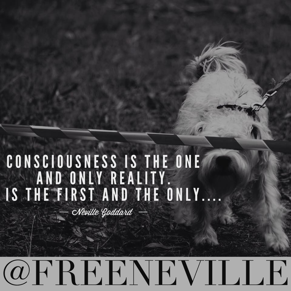 Is Consciousness The Only Reality?
