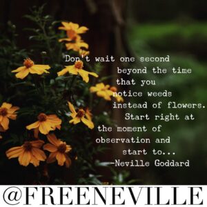 how_to_feel_it_real_neville_goddard_weed_garden