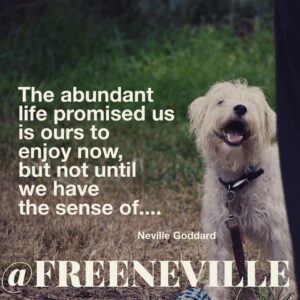 how_to_feel_it_real_abundant_life_neville_goddard