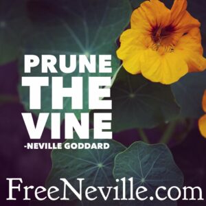 prune_the_vine_neville_goddard